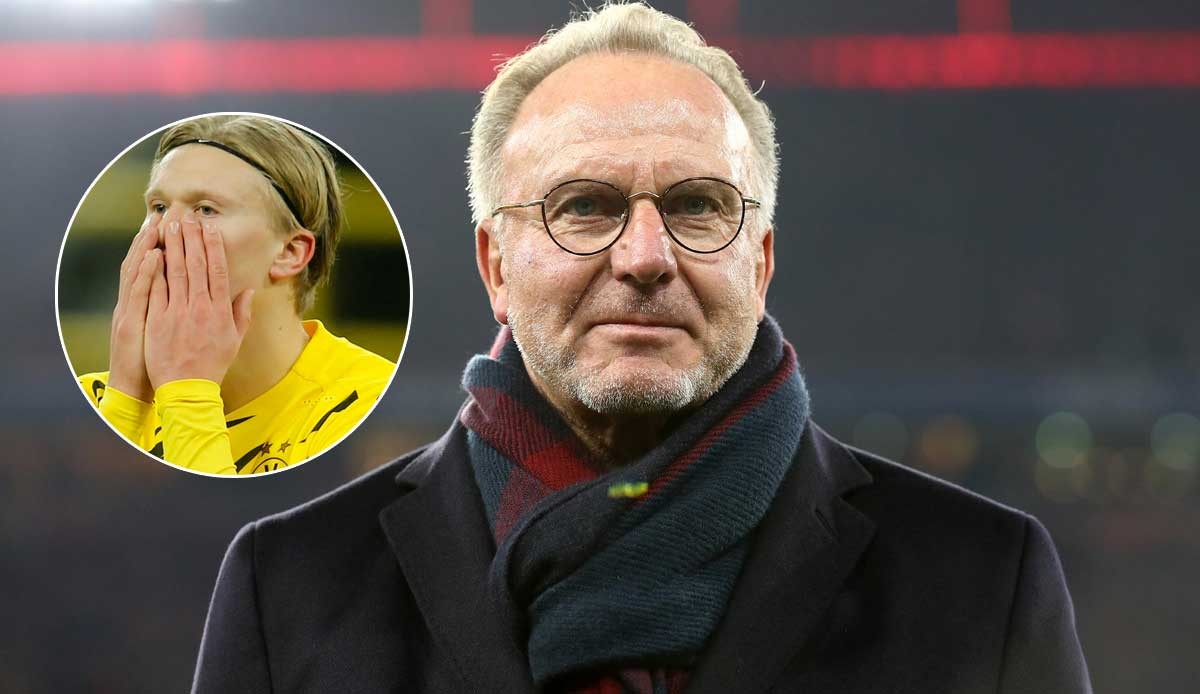 阿达尼：阿根廷并非世界杯夺冠最大热门；罗德里比佩德里重要（阿达尼称阿根廷非世界杯头号热门 罗德里比佩德里更关键）